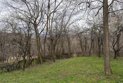 Teren intravilan 1518 mp, constructie, Sotrile, Prahova - 24 EUR/mp - 9