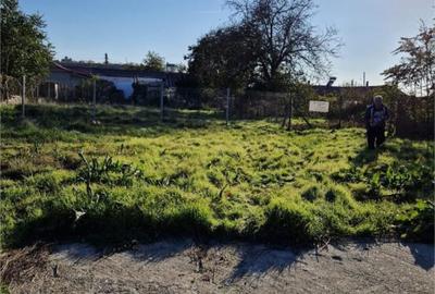 TEREN INTRAVILAN  |  MURFATLAR  |  CONSTANTA - 2