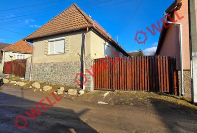 Casă familiară de vânzare în Bixad! - 2