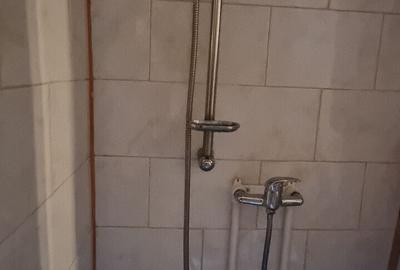 Tei Boboc Garsoniera la casa - 4