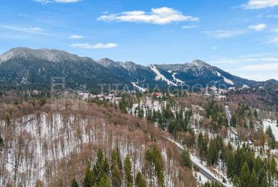 Clădire multifuncțională în Poiana Brașov – oportunitate investițională premium - 13