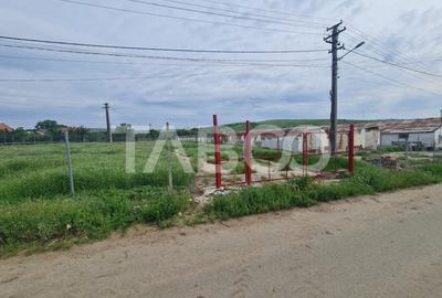 Hala in constructie cu teren intravilan de vanzare in Cut judetul Alba