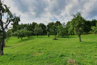 Teren intravilan 1.000 mp | Deschidere 27 m | Poienărei – Corbi, Arges - 4