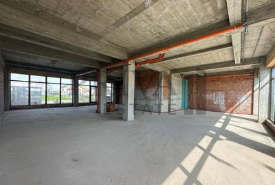 Spatiu comercial, 210 mp, locuri de parcare, Giroc - 6