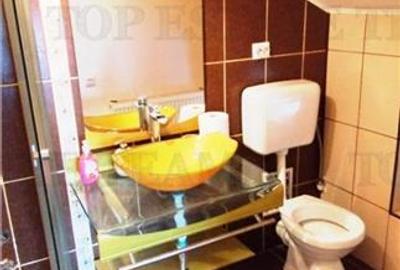 VANZARE PROPIETATE 2 CASE OTOPENI - 11