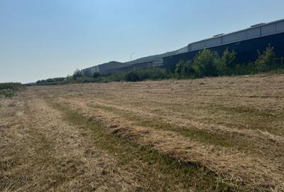 Teren intravilan industrial – Tomești, zona Contom - 1