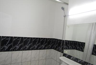 Garsonieră renovată de închiriat – Bulevardul Mihai Viteazul, Sibiu - 25