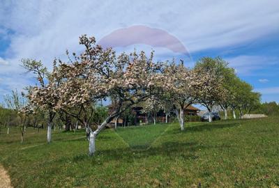 De vanzare casă cu teren 1,17ha la munte, Munteni, Bulz, spre Hiltop - 3