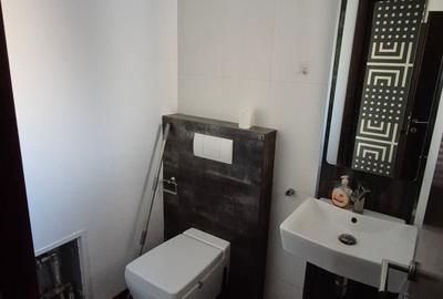 Vila de inchiriat- Bucuresti Nord-Pipera - 8