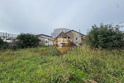 Casa 5 camere, PALAZU MARE,  204 mp cu teren 904 mp - 1