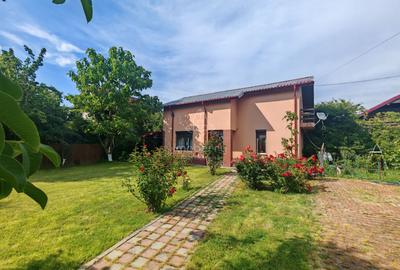 Casa de vanzare Adunatii Copaceni - pret imbatabil - 1