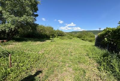 Teren Bujoreni Olteni - 4