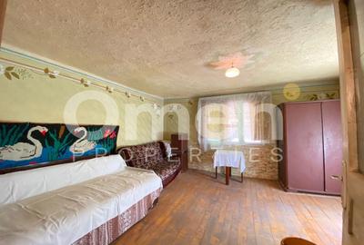 Casa de vanzare in Berinta de 50 mp cu anexa si 22 de ari teren - 8