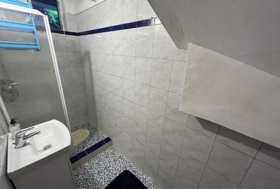 Apartament cu doua camere Calea Lipovei - 8