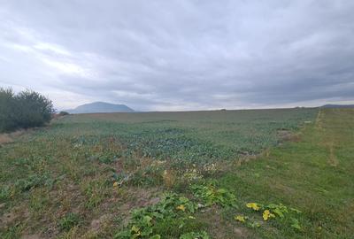 Oază de Natură și Potențial: Teren de 48.100 mp lângă Delta din Carpați - 5
