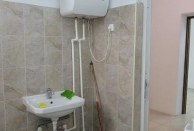 Inchiriere Spatiu Comercial Teiul Doamnei - 38