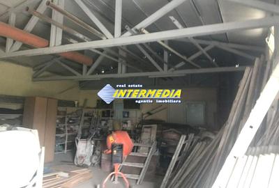 HALA CU MULTIPLE ACTIVITATI I 265  MP I TEREN 608 MP I Alba Iulia I - 4