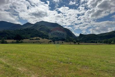 Teren de vanzare  Intravilan 19.341 mp – Cheile Râșnoavei, Parcelabil - 9