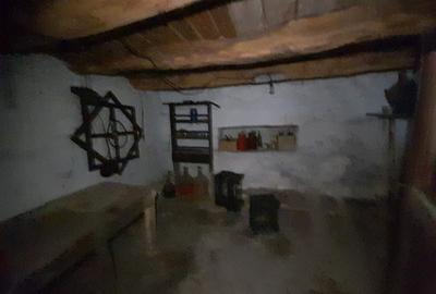 Casa traditionala cu anexe si gradina,Zona Nasaud - 16
