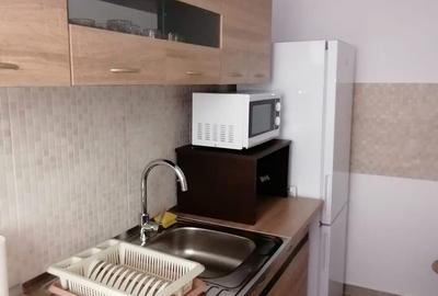Inchiriere apartament 2 camere 'Pallady, Metrou N Teclu 12 minute - 6