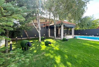 Vila de lux, stil contemporan -  IANCU NICOLAE - 7