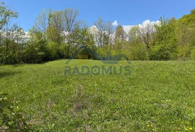 Teren Intravilan  – Provița de Jos | 1.939 mp | Curent electric - 1