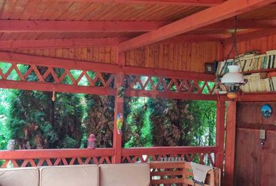 House for sale in central Sighetu Marmației - Maramureș - 7