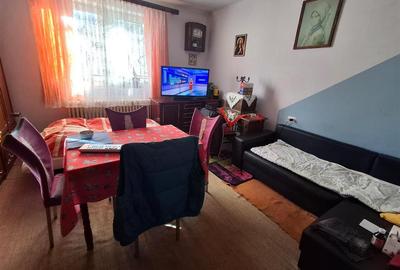 Casa 2 camere 120 mp teren zona Vasile Aaron - 8