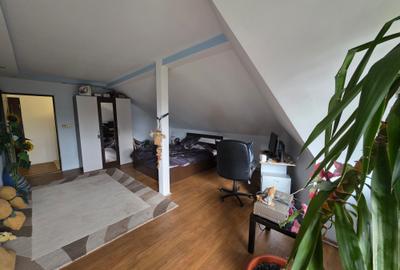 Vand casa D+P+M Ceangai Deva - 8