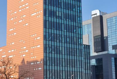 Birou, 460 mp în Central