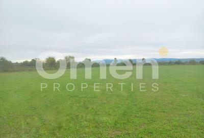 Teren intravilan 7.631 mp – Săcălășeni, lângă Baia Mare , utilități la drum - 3