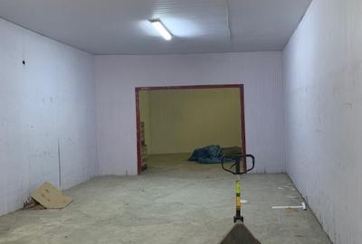 Hale si birouri de inchiriat Bacau, str. Constantei/Politie - 11