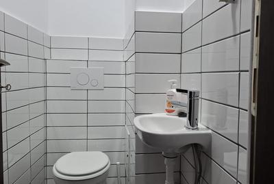 Dristor-Mc Donalds, 2 camere, renovat nou+modern, 2 bai - 10