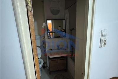 APARTAMENT 2 CAM, DRISTOR BABA NOVAC - 18
