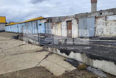 DEPOZIT I HALA DEPOZITARE I SUCEAVA I TEREN 3000mp - 4