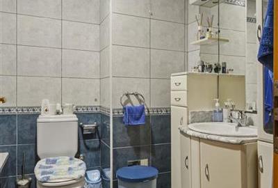 VILA CU SPATII GENEROASE IN DOROBANTI CU LIVING DE 75 MP SI TERASE DE 100 MP - 23