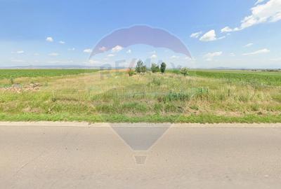 Teren extravilan de 9750 mp, în Hălchiu