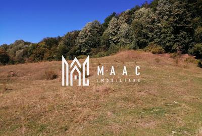 Teren Extravilan 20.000Mp I Stoenești -Vâlcea I Apă Curentă și Pădure - 13