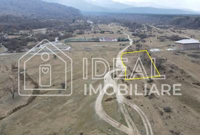 Teren extravilan de vânzare – Cârțișoara | Vedere spre Munții Făgăraș - 2