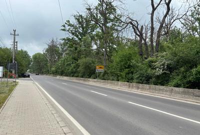 Terenul dintre 2 lacuri – 1000 mp în Mogoșoaia, la 5 minute de pădure - 6