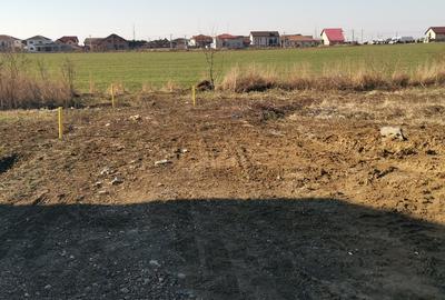 Teren in Dumbravita 110000 euro - 3