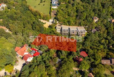 Teren Construcții intravilan de 2385 mp, în Schei