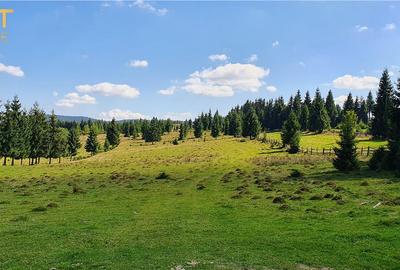 Oportunitare | Teren 1ha cu PUZ | Belis - 1