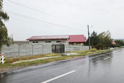 Spațiu industrial, 100 mp în Mihail Kogălniceanu