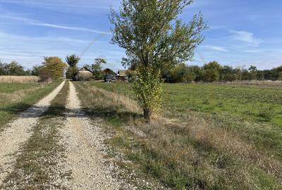 Teren intravilan 3700 mp la 28 km de Pitesti  - zona linistita - 4