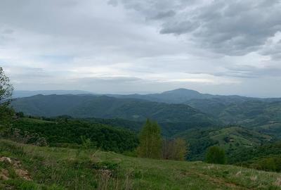Teren extravilan 2ha, priveliste panoramica spre munti /Poiana Marului - 7