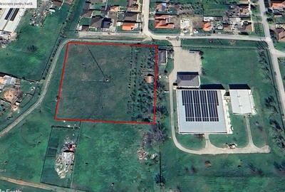 Teren intravilan 10.000mp cu utilitati, imprejmuit, Loc. Sanleani langa Amatex - 3