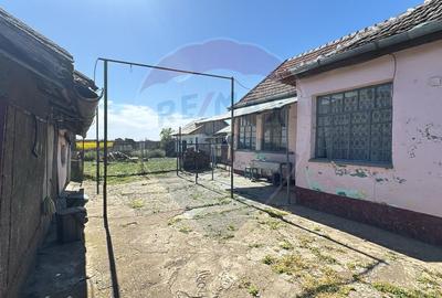 Casă cu 3 camere de vânzare în Sânnicolaul Român - 10