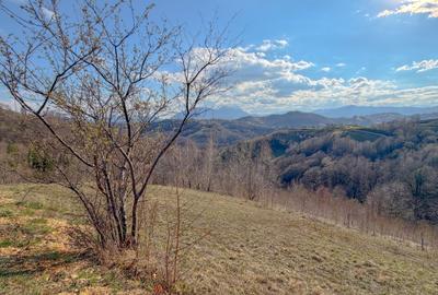 Refugiu de poveste în inima naturii | 12.000 mp în Holbav | Proiect început - 2