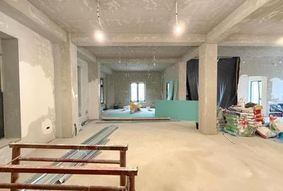 Clădire reprezentativă de închiriat, 560 mp utili, zona Complex, - 2